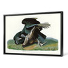 John James Audubon, Black Vulture or Carrion Crow,The Birds of America,canvas print,canvas art,canvas wall art,large wall art,framed,p1814