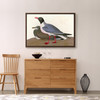 John James Audubon, Black headed Gull,The Birds of America,canvas print,canvas art,canvas wall art,large wall art,framed wall art,p1812