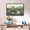 John James Audubon, American Pied bill Dobchick,The Birds of America,canvas print,canvas art,canvas wall art,large wall art,framed art,p1800