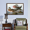 John James Audubon, American Widgeon,The Birds of America,canvas print,canvas art,canvas wall art,large wall art,framed wall art,p1804