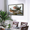 John James Audubon, American Widgeon,The Birds of America,canvas print,canvas art,canvas wall art,large wall art,framed wall art,p1804