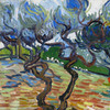 Vincent van Gogh,Olive Trees,art prints,Vintage art,canvas wall art,famous art prints,q1451