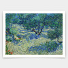 Vincent van Gogh,Olive Orchard,art prints,Vintage art,canvas wall art,famous art prints,q1448