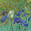 Vincent van Gogh,Irises 2,art prints,Vintage art,canvas wall art,famous art prints,q1440