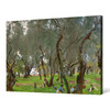 John Singer Sargent,The Olive Grove, 1910,large wall art,framed wall art,canvas wall art,large canvas,M4447