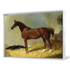 John Frederick Herring Snr,A Bay Racehorse in a Stall, 1843,large wall art,framed wall art,canvas wall art,large canvas,M4405