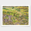 Vincent Van Gogh,Meadow with Butterflies,art prints,Vintage art,canvas wall art,famous art prints,V5089