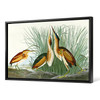 John James Audubon, Least Bittern,The Birds Of America,Canvas Print,Canvas Art,Canvas Wall Art,Large Wall Art,Framed Wall Art,P1881