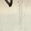 Ohara Koson,Bee Next to Flowering Wisteria,japanese paints,art prints,Vintage art,canvas wall art,famous art prints,vertical narrow ,V7753