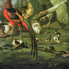 Pieter Casteels,Cock pheasant hen pheasant and chicks and other birds in a classical landscape,art prints,Vintage art,canvas wall art,V7766