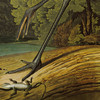 John James Audubon,226 Hooping Crane,art prints,Vintage art,canvas wall art,famous art prints,q2515