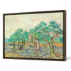Vincent van Gogh,The Olive Orchard,Picking olives,canvas print,canvas art,canvas wall art,large wall art,framed wall art,p1466