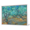 Vincent van Gogh,Olive Grove,Olive tree orchard,canvas print,canvas art,canvas wall art,large wall art,framed wall art,p1447