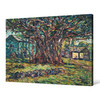 Ernest Lawson,Banyan Tree,A big tree,canvas print,canvas art,canvas wall art,large wall art,framed wall art,p985