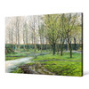 Green spring meadow landscape, spring morning,canvas print,canvas art,canvas wall art,large wall art,framed wall art,p775