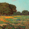 Granville Redmond,California Poppies and Oaks,art prints,Vintage art,canvas wall art,famous art prints,V1444