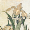 Hokusai,Iris Flowers and Grasshopper,japanese print,art prints,Vintage art,canvas wall art,famous art prints,V1545