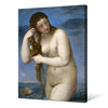 Titian,Venus Rising from the Sea,,canvas print,canvas art,canvas wall art,large wall art,framed wall art,p667