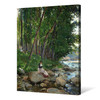 Francesc Torrescassana,Riverside forest scenery,,canvas print,canvas art,canvas wall art,large wall art,framed wall art,p451