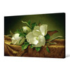 Martin Johnson Heade,Magnolias on Gold Velvet Cloth,large wall art,framed wall art,canvas wall art,large canvas,M1862