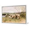Francois Pieter ter Meulen,Sheep,large wall art,framed wall art,canvas wall art,M1351