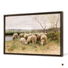 Francois Pieter ter Meulen,Sheep,large wall art,framed wall art,canvas wall art,M1351