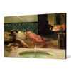Benjamin Constant,An Odalisque in a Harem,large wall art,framed wall art,canvas wall art,M1042