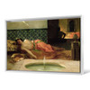 Benjamin Constant,An Odalisque in a Harem,large wall art,framed wall art,canvas wall art,M1042
