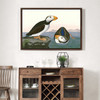 John James Audubon, Large Billed Puffin,The Birds Of America,Canvas Print,Canvas Art,Canvas Wall Art,Large Wall Art,Framed Wall Art,P1880