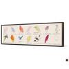 Edward Lear,Whimsical bird drawings,Narrow Horizontal Wall Art ,large wall art,framed wall art,canvas wall art,M48