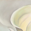 Georgia O'Keeffe,Calla Lily Turned Away, 1923,art prints,Vintage art,canvas wall art,famous art prints,V5819
