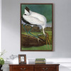 John James Audubon, Wood Ibiss,The Birds Of America,Canvas Print,Canvas Art,Canvas Wall Art,Large Wall Art,Framed Wall Art,P2497