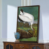 John James Audubon, Wood Ibiss,The Birds Of America,Canvas Print,Canvas Art,Canvas Wall Art,Large Wall Art,Framed Wall Art,P2497
