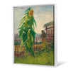 Vincent van Gogh,Allotment with Sunflower,large wall art,framed wall art,canvas wall art,large canvas,M6818