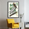 John James Audubon,Brown Pelican,The Birds Of America,Canvas Print,Canvas Art,Canvas Wall Art,Large Wall Art,Framed Wall Art,P2516