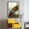John James Audubon,1 Wild Turkey,The Birds Of America,Canvas Print,Canvas Art,Canvas Wall Art,Large Wall Art,Framed Wall Art,P2512