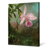 Martin Johnson Heade,Orchid Blossoms, 1873,large wall art,framed wall art,canvas wall art,large canvas,M6380