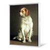 Louis Leopold Boilly,Portrait of a King Charles Spaniel,large wall art,framed wall art,canvas wall art,large canvas,M6332