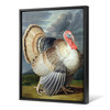 Johann Wenceslaus Peter Wenzal,Portrait of a Turkey ,large wall art,framed wall art,canvas wall art,large canvas,M6197