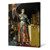 Jean-Auguste-Dominique Ingres,Joan of Arc at the Coronation of Charles VII,large wall art,framed wall art,canvas wall art,large canvas,M6163