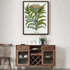 German School,The Cardoon, From The Hortus Drawing,large wall art,framed wall art,canvas wall art,large canvas,M5845