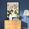 German School,Kinds of Roses Drawing,large wall art,framed wall art,canvas wall art,large canvas,M5843