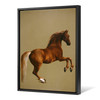 George Stubbs,Whistlejacket,Horse Portrait,Equestrian Wall Art,large wall art,framed wall art,canvas wall art,large canvas,M5801