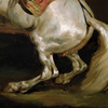 Theodore Gericault,Napoleon's Stallion Tamerlan,art prints,Vintage art,canvas wall art,famous art prints,V6778