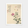 Xiang Shengmo,Chrysanthemum,Chinese Flower Paintings,art prints,Vintage art,canvas wall art,famous art prints,V6911