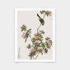 Yu Zhi,Malus spectabilis painting,Chinese painting,art prints,Vintage art,canvas wall art,famous art prints,V6926