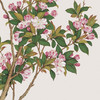 Yu Zhi,Malus spectabilis painting,Chinese painting,art prints,Vintage art,canvas wall art,famous art prints,V6926