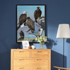 Allan Brooks,Bald Eagle, Golden Eagle, Rough-legged Hawk,large wall art,framed wall art,canvas wall art,large canvas,M5280