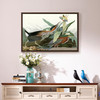 John James Audubon, Green Heron,The Birds Of America,Canvas Print,Canvas Art,Canvas Wall Art,Large Wall Art,Framed Wall Art,P1860