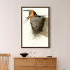 John James Audubon, Barn Swallow,The Birds Of America,Canvas Print,Canvas Art,Canvas Wall Art,Large Wall Art,Framed Wall Art,P2281